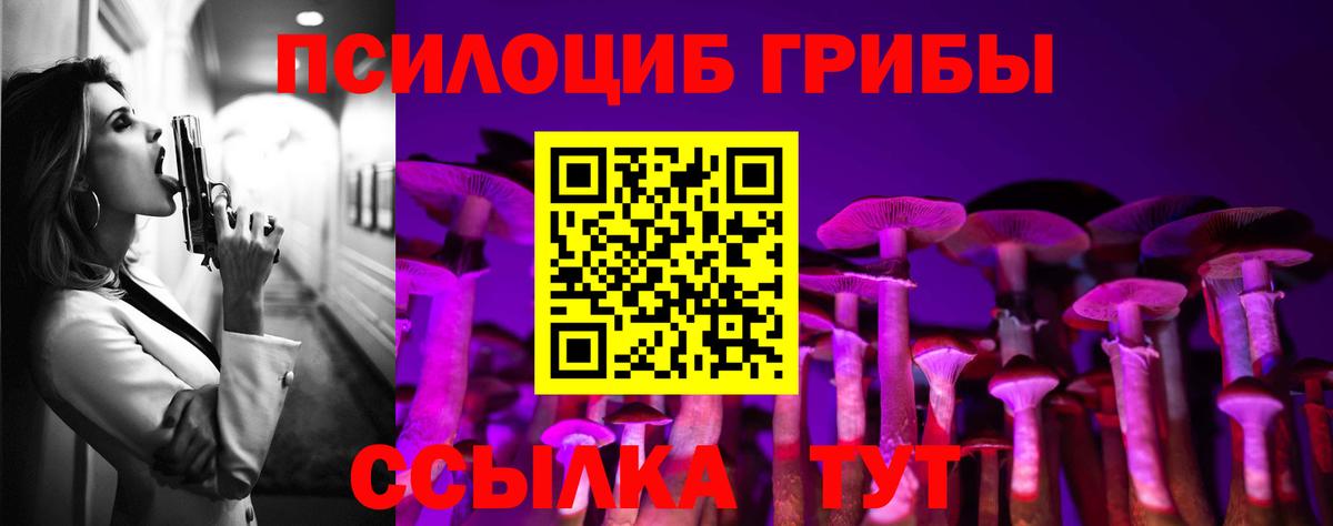 Ивантеевка  Псилоцибиновые грибы Magic Shrooms  Вход с VPN 